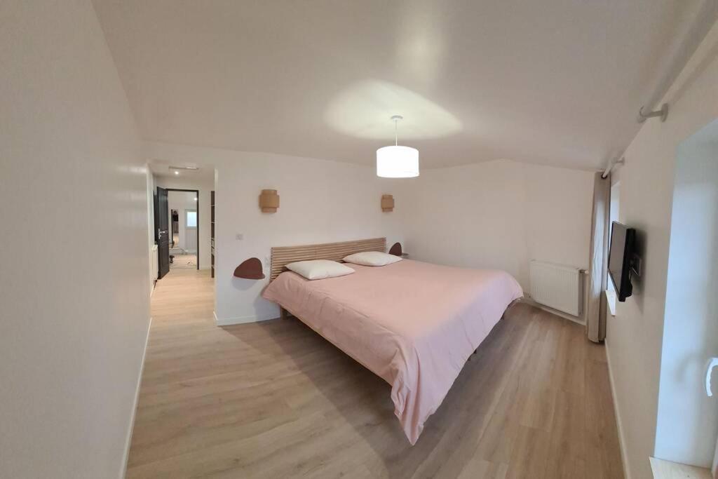 Catel Duplex Coeur De De Dizier 2 Appartement