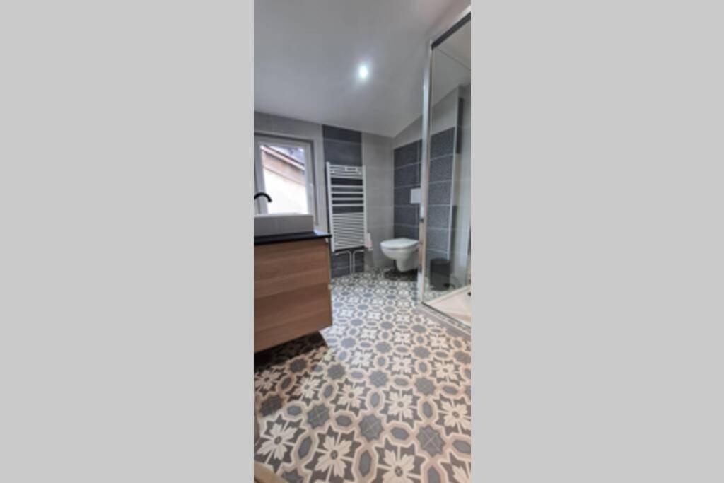 Appartement Catel Duplex Coeur De De Dizier 2 Saint-Dizier